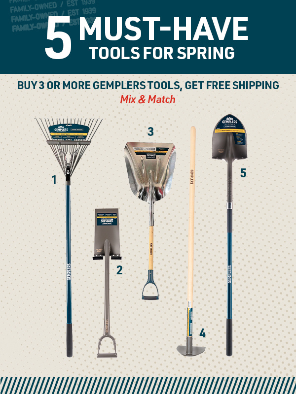 5 Must-have Tools for Spring