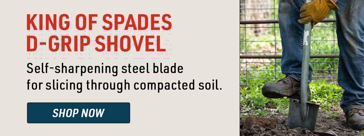 King of Spades D-Grip Shovel
