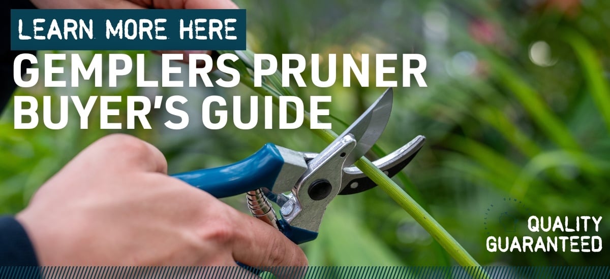 Pruner buyers guide email graphic (2)