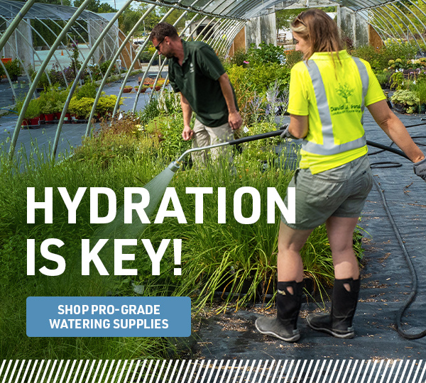 HYDRATION IS KEY!