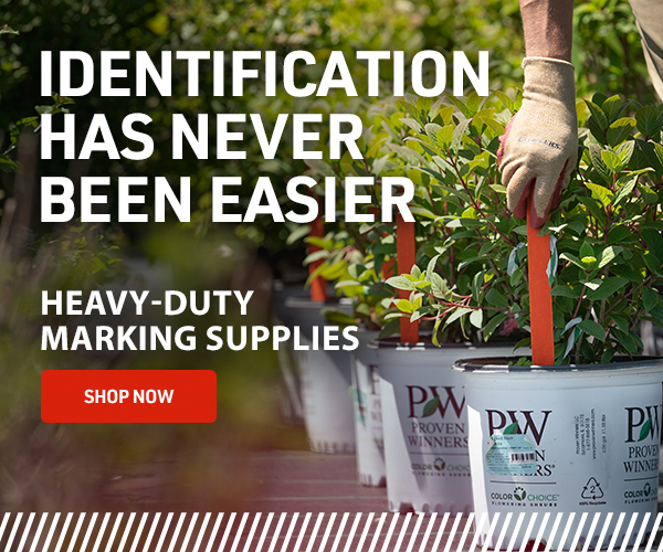 identification-has-never-been-easier-marking-email2