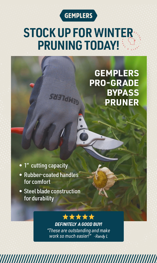 stock-up-for-winter-pruning-email2