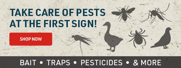 Take care of pests at the first sign. Shop bait, traps, pesticides, and more.