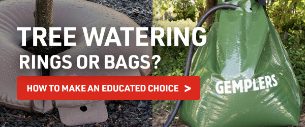 Tree Watering Rings or Bags? How to make an educated choice